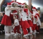 Lucia 2017 - 16